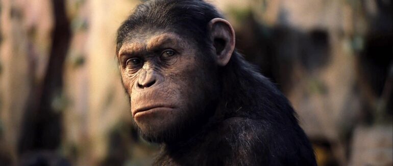 caesar-rise-of-the-planet-of-the-apes-2011-02