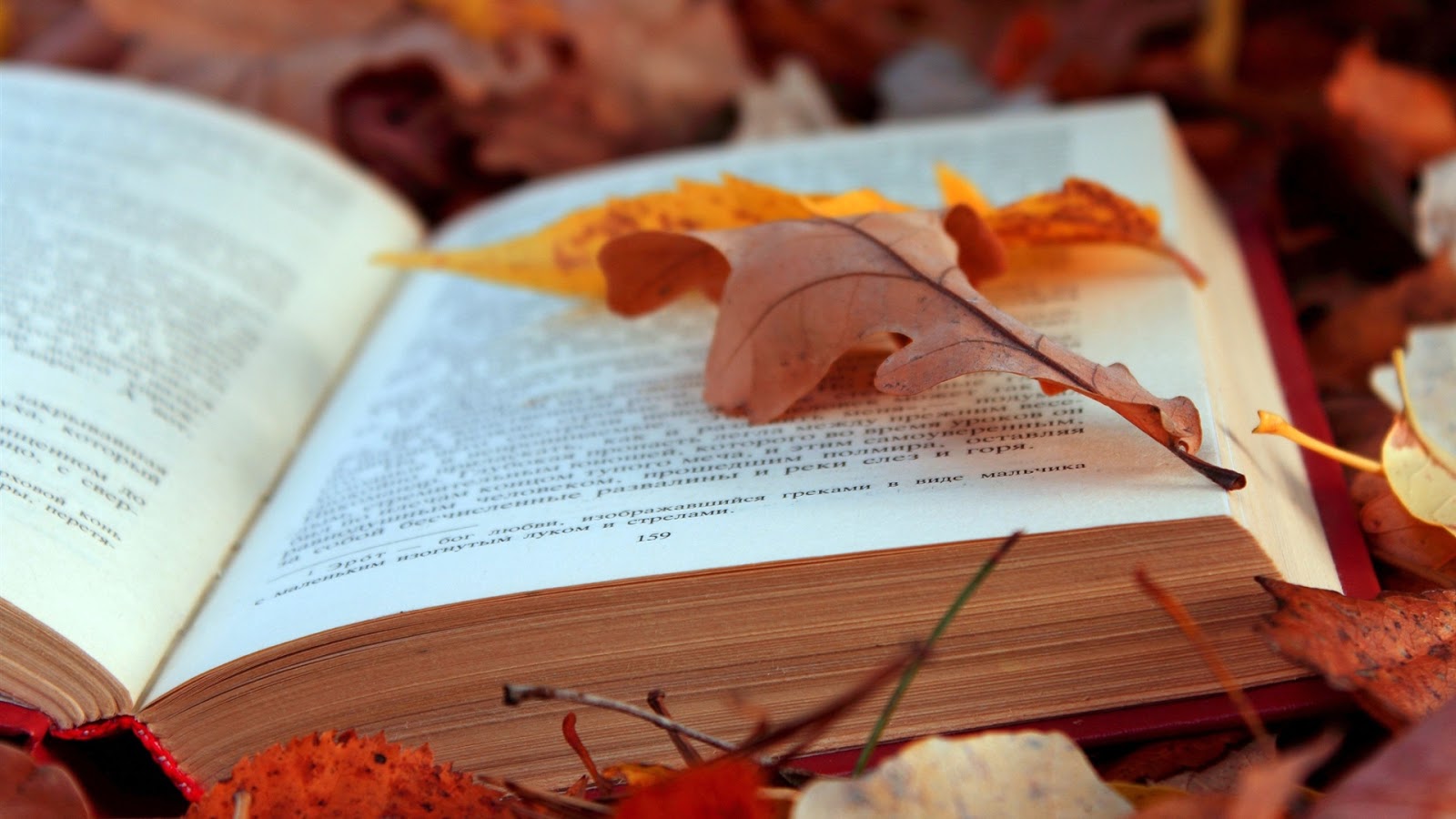 autumn-leaves-and-book