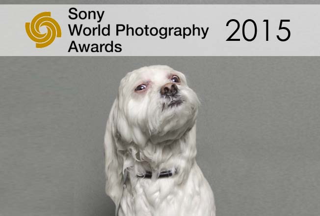 Sony-World-Photography-Awards-2015