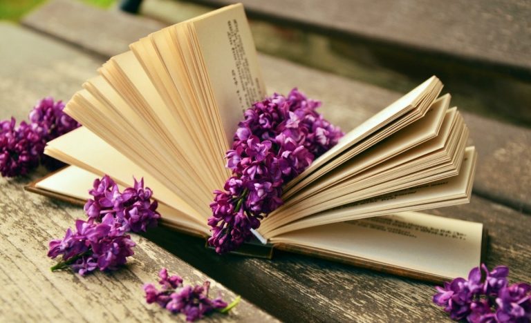 book-read-relax-lilac-bank-old-book-pages-rest
