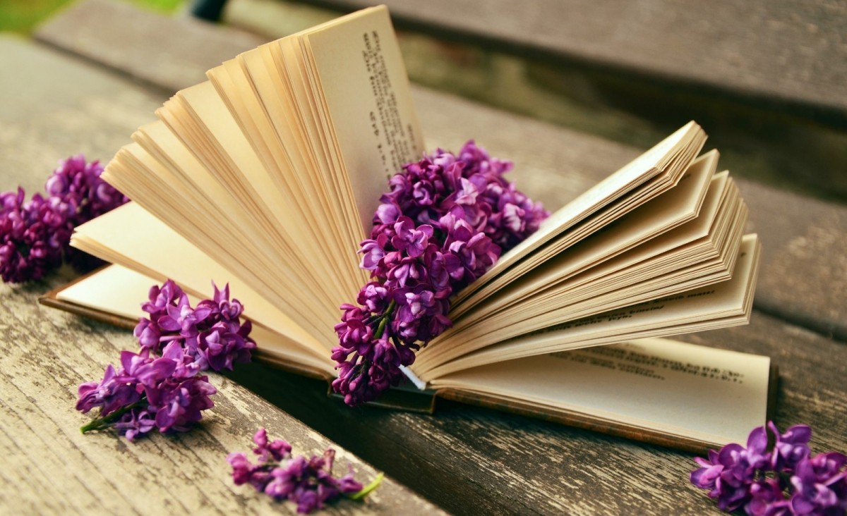 book-read-relax-lilac-bank-old-book-pages-rest