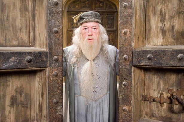 teorias, harry potter, dumbledore