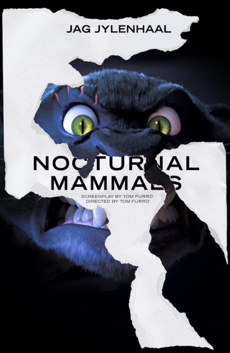 Nocturnal-Mammals-1-750×1125