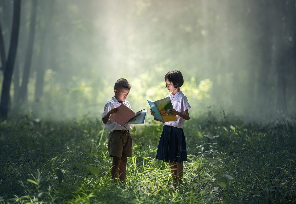 livros crianças floresta
